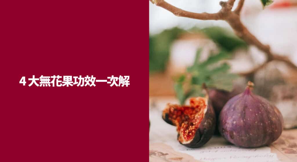 4 大無花果功效一次解