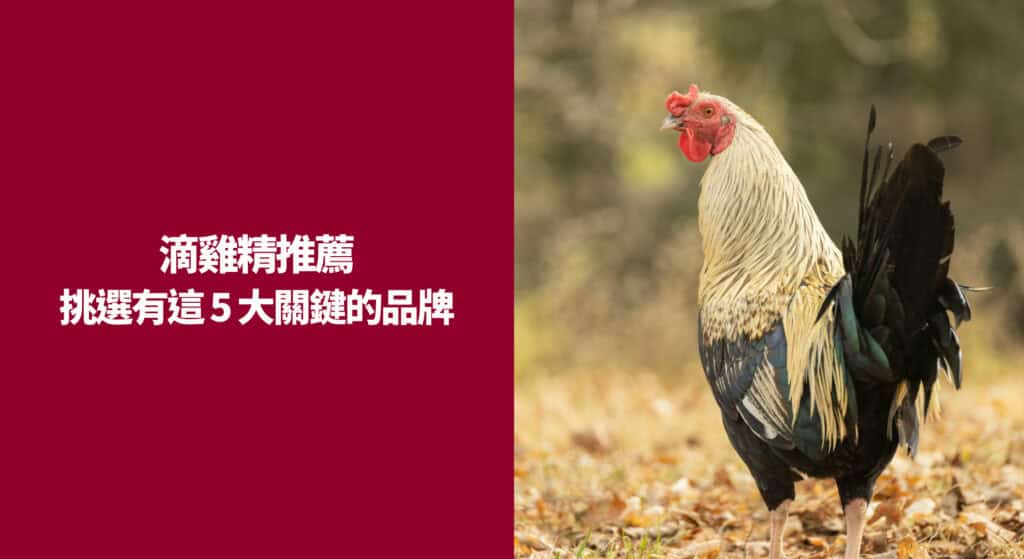 滴雞精推薦挑選有這 5 大關鍵的品牌