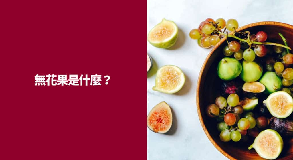 無花果是什麼？