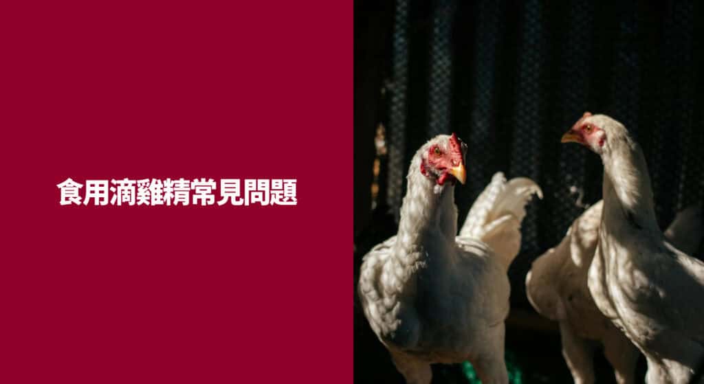 食用滴雞精常見問題
