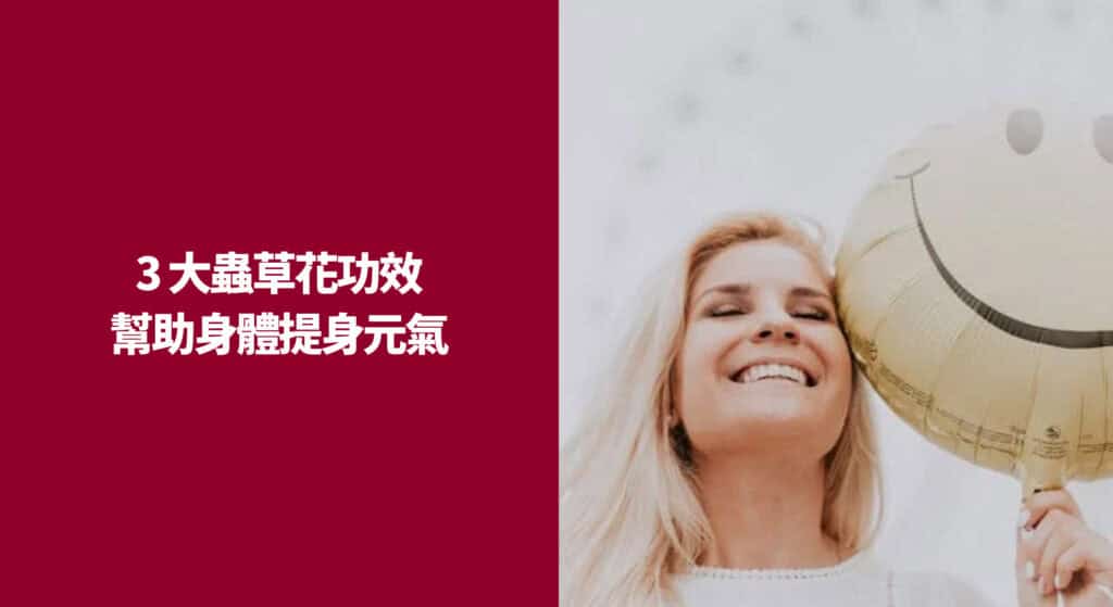 3 大蟲草花功效幫助身體提身元氣
