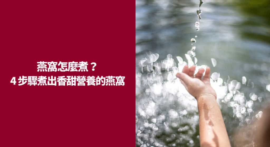 燕窩怎麼煮？按照 4 步驟煮出香甜營養的燕窩