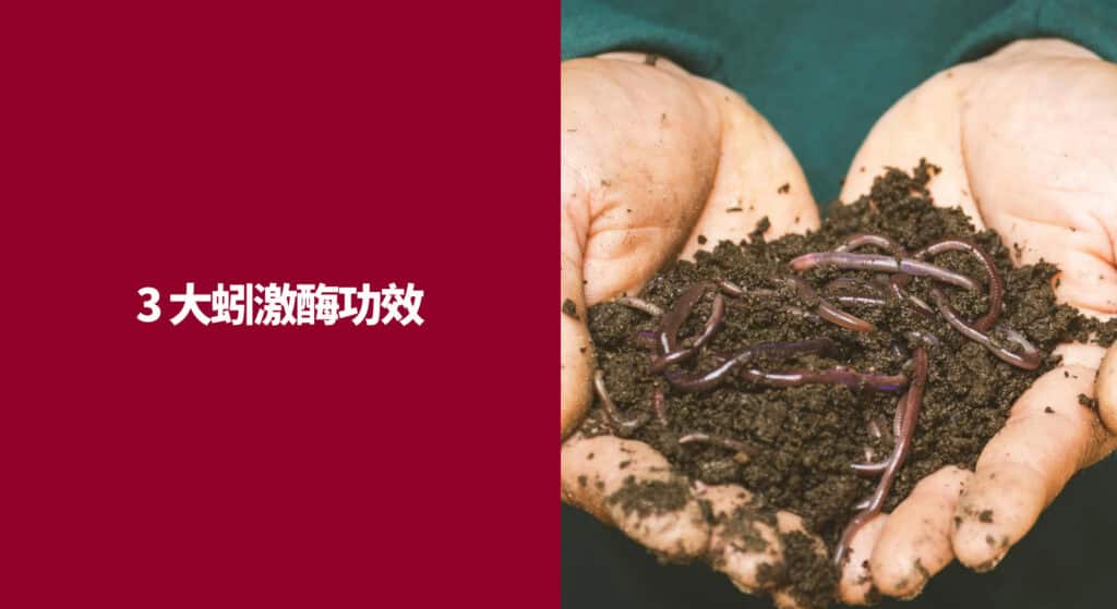 3 大蚓激酶功效