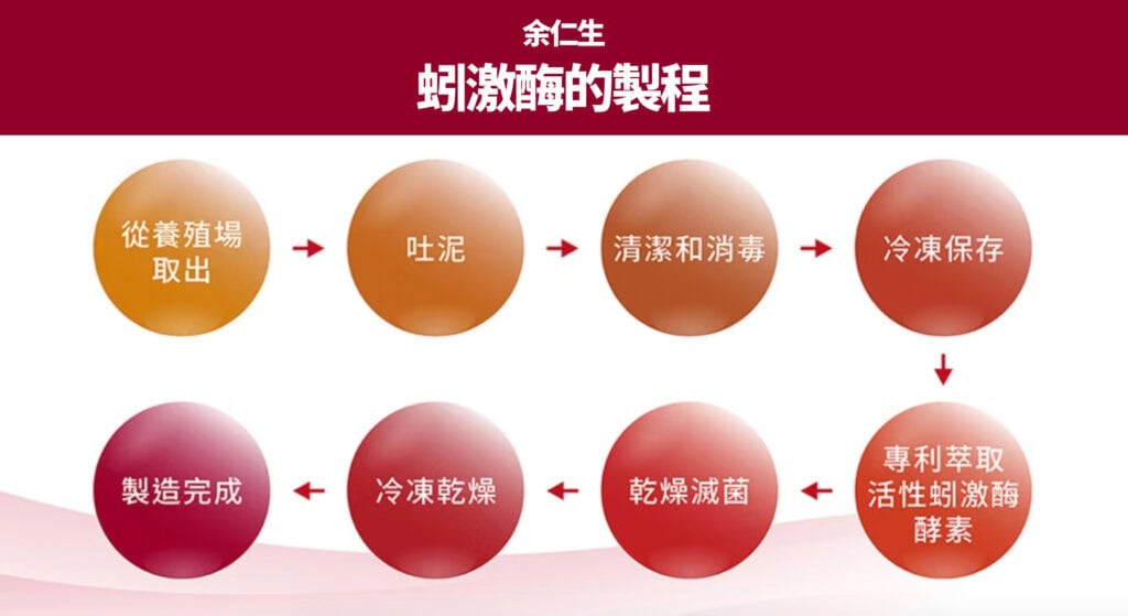 余仁生蚓激酶的製程