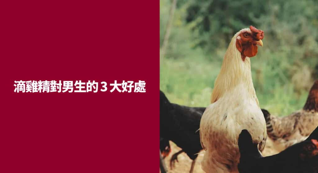 滴雞精對男生的 3 大好處