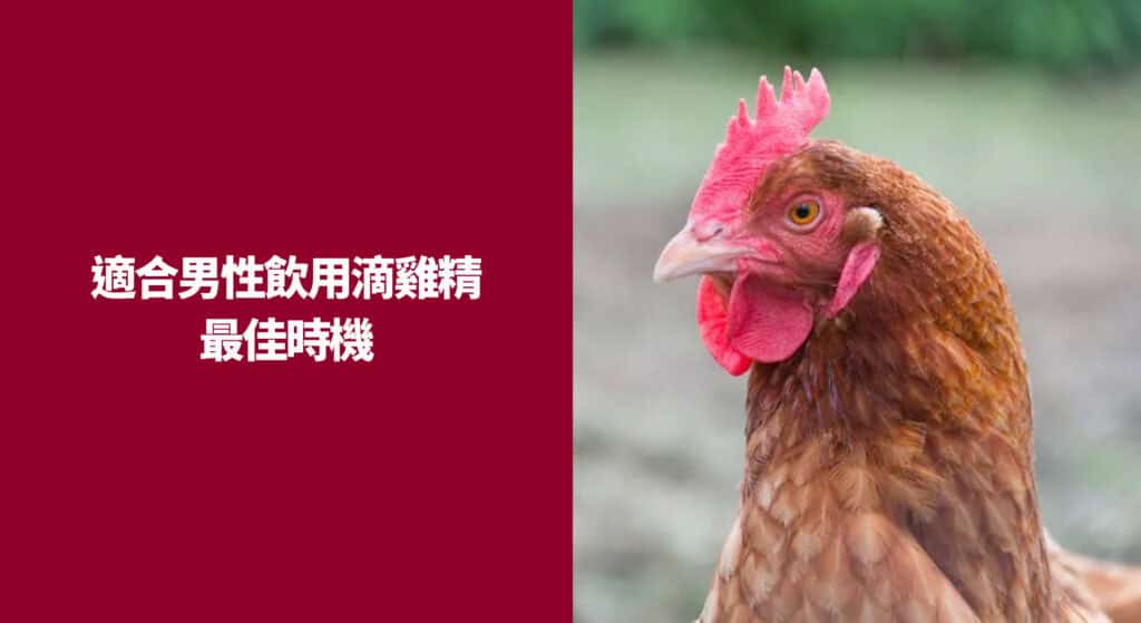 適合男性飲用滴雞精的最佳時機
