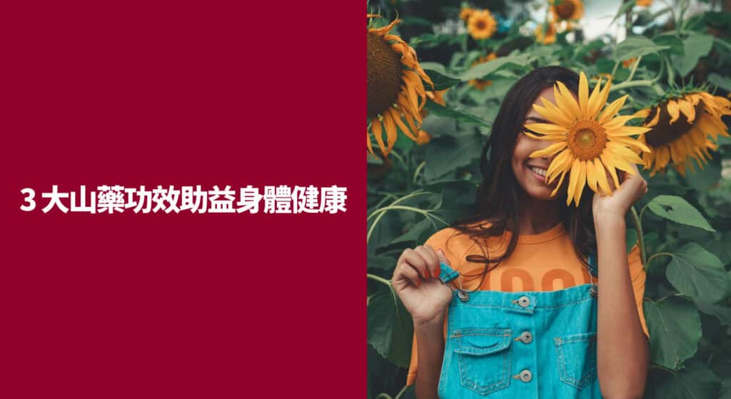 3 大山藥功效助益身體健康