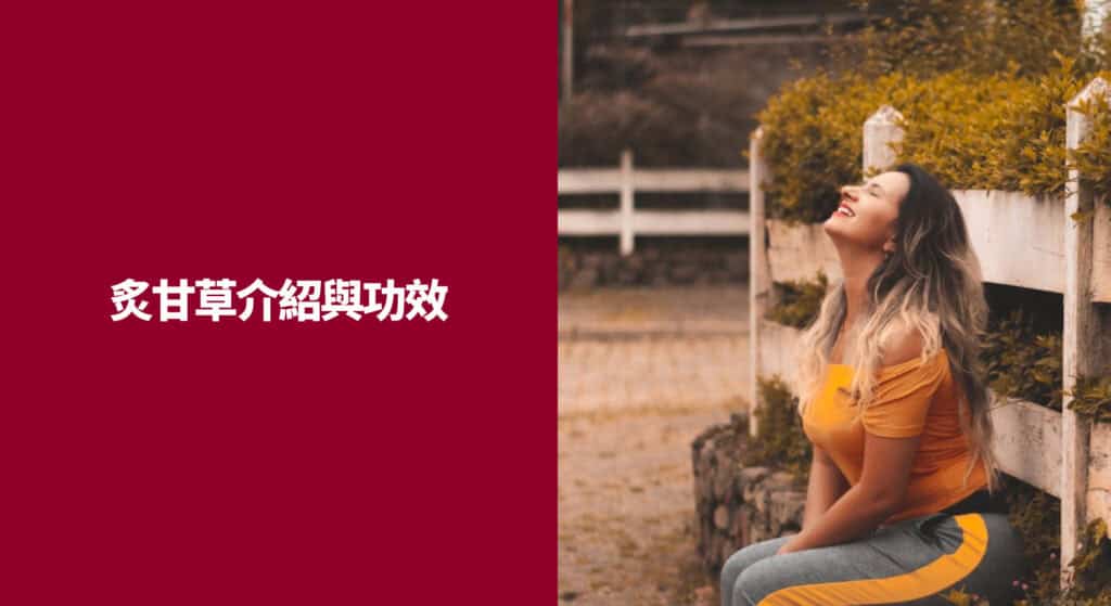 炙甘草介紹與功效