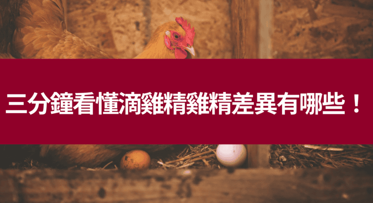 三分鐘看懂滴雞精雞精差異有哪些！