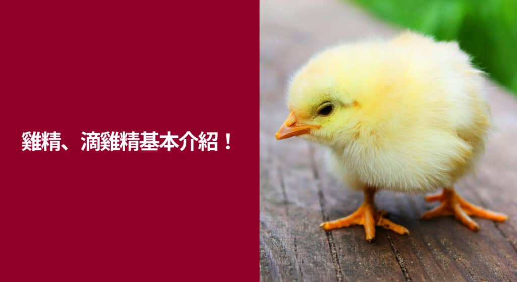 ⭐ 在瞭解滴雞精雞精差異之前，先來看看雞精、滴雞精各自的基本介紹！